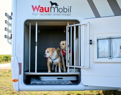 Waumobil Cookie